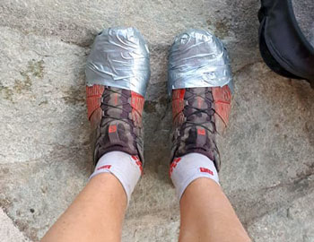 1 Journal MDS 21 b8914