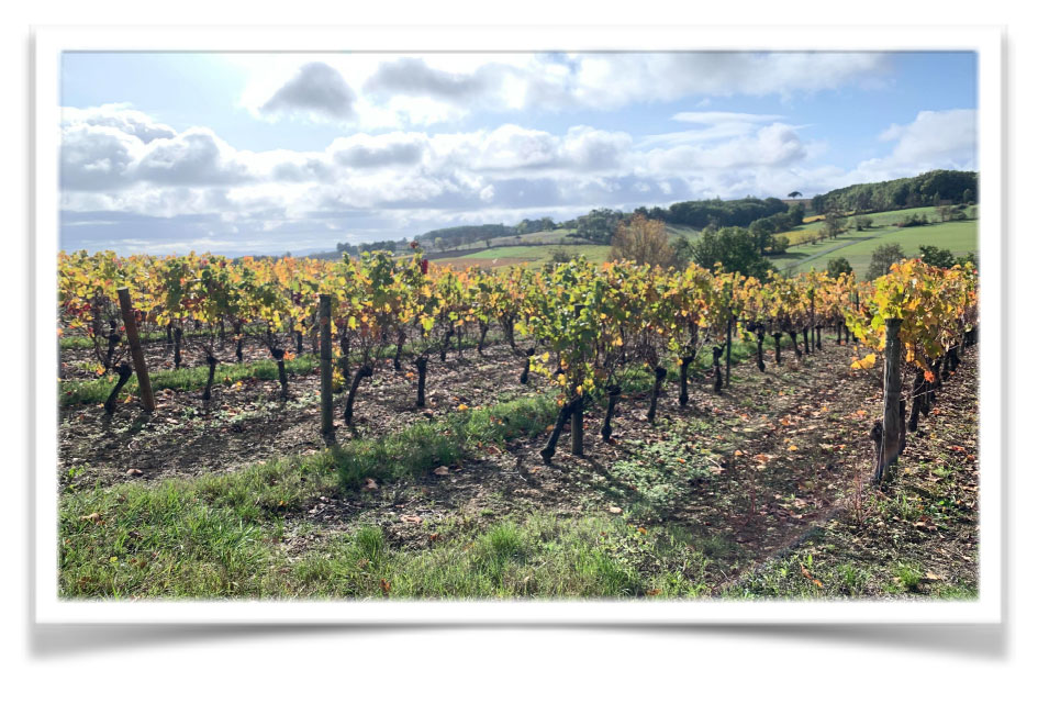 4 Journal MDS 2 d795d