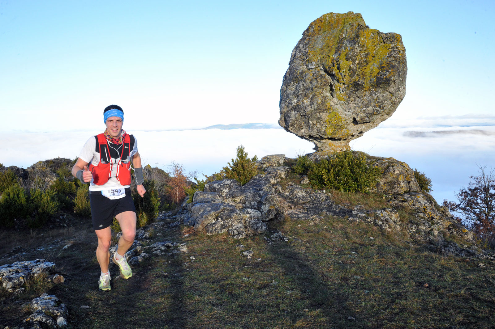 5 Journal MDS 1 cbd86